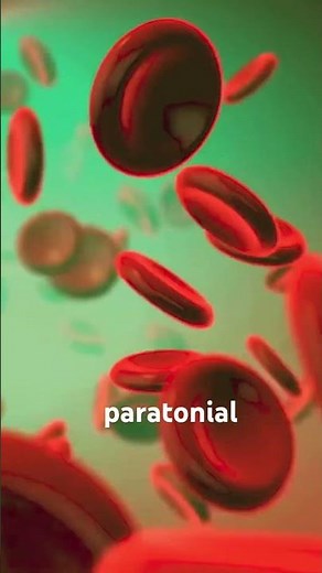 How Dialysis Works? (3D Animation)#how #dialysis #kidney #kidneyfailure #hemodialysis #peritoneal