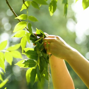 98K views · 198 reactions | You Will Love These Farm Hacks Thanks for watching! Please be aware that this video is for entertainment purposes only and techniques shown should not be attempted at home! | Science, Tech and Universe | Facebook