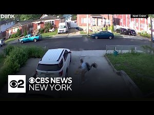 Caught on video: Wild turkey chases Staten Island man