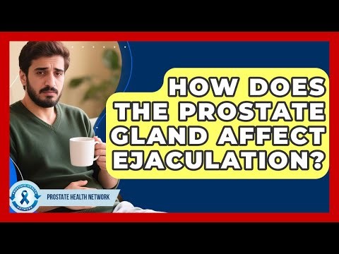 How Does The Prostate Gland Affect Ejaculation? - Prostate Health Network