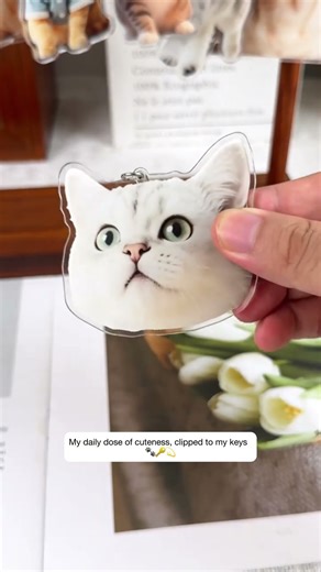 🐾 DIY Pet Keychain | Would You Carry Your Pet Everywhere?