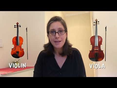 Meet the String Family