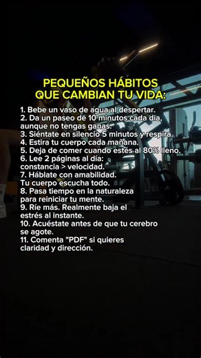 Fernando Leal | Estratega Digital | Comenta PDF | Instagram