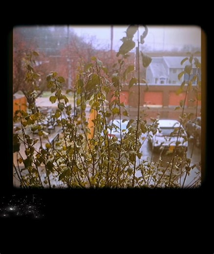 14 reactions | Red Wing’s first snowfall arrived this week ❄️ and it’s already getting us excited for Holiday Stroll. ✨ Fresh snow on the benches, frost on the evergreens, and a little bit of magic settling in. Next week, we bring that magic downtown with the Polar Express on the Red Wing Trolley. ❤️ Come see our Cocoa Dancers from Fusion Dance! | The Red Wing Trolley | Facebook