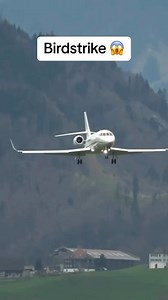 943K views · 1.5K reactions | The pilots reaction like saved his engine. Great job! . . Awesome video @jetluxe.hg ・・・ This is a Dassault Falcon 2000 undergoing a birdstrike while attempting to land. Despite the pilots trying to avoid it, it was too late. The aircraft landed safely. . . #bird #plane #privatejet #jet | Combat Learjet | Facebook