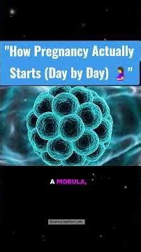 How Pregnancy Actually starts day by day #pregnancy #baby #pregnancytips #littlebaby