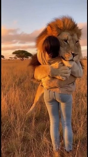 She Hugged a WILD LION 😱❤️#emotional #wholesome #wildlife