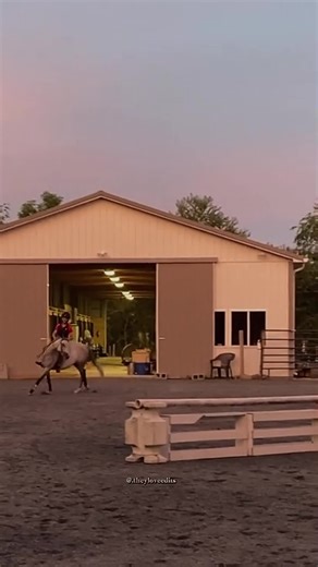 Horse Riding Falls Compilation | Worst Equestrian Accidents