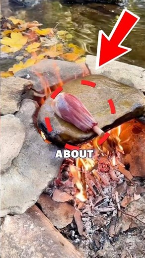 The Deadly Secret Hiding In Your River Stones