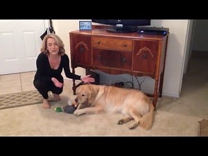 Katie McGee with the Shark Rocket Upright