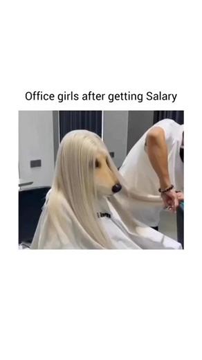 computersciencelife on Instagram: "Lol😂👨‍💻 Follow us @computersciencelife for such more posts related to programming and technology ▪️ ▪️ 👨‍💻Dm for project/ webdesign /app/ Assignment/ content writing/ or any kind of project ▪️ ▪️ 🔔 TURN ON post notifications to never miss any updates. . . Comment your views on the post . .. .. .. #developer #corporatewellness #corporateeventplanner"