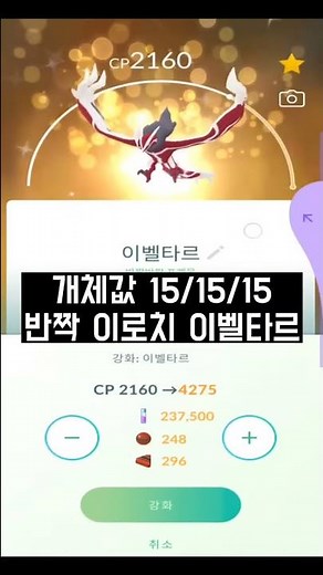 50레벨 개체값100 반짝이로치 이벨타르 만들기! [포켓몬고]