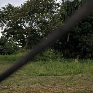 Dr. Sanjay Gupta finds out how hard it is to survive in the Bolivian Amazon. #ChasingLifeCNN continues this Saturday at 9p ET/PT! | CNN