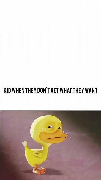 funny Crying duck meme #funny #memes