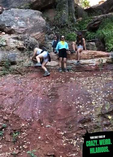 Funniest Falls And Fails🤪😆 | Ricky Forbes