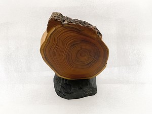 SKROM: Sculpture Made of Robinia Wood With Natural Slate Base, Abstract Sculpture Made of Wood - Etsy