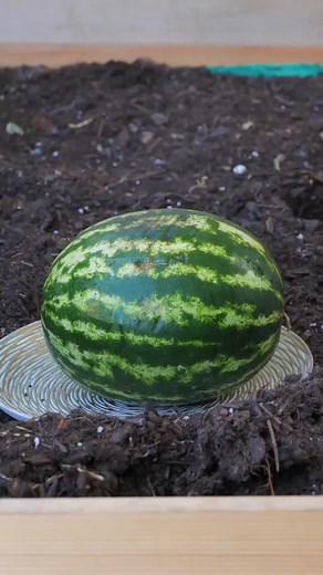 Innovative Smart Storage Hacks for Organization Enthusiasts