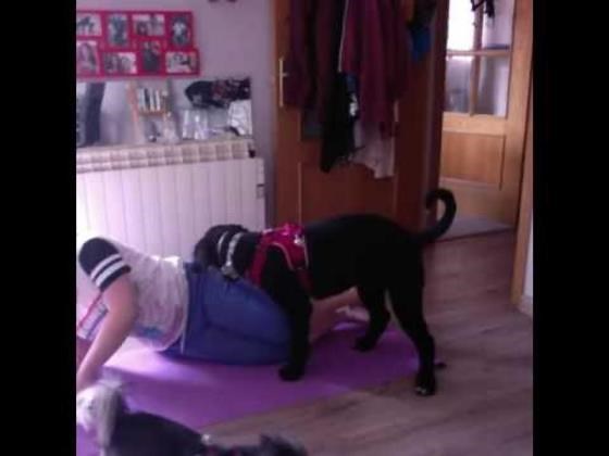 Dog Wants to Join Owner's Yoga Party