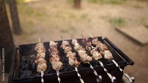 Grilled kebab cooking on metal skewer. Roasted meat cooked at barbecue. BBQ fresh beef meat chop slices. Traditional eastern dish, shish kebab. Grill on charcoal and flame, picnic, street food