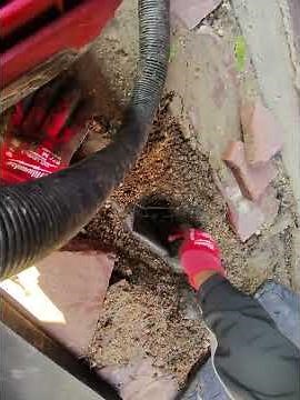Sprinkler head repair #sprinklerline #diy #sprinklerrepair #sprinklersystem