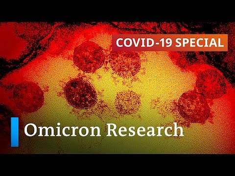 Origin, transmissibility, severity: What we know about the Omicron variant so far | COVID19 Special