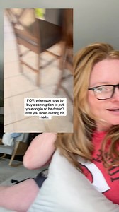 #greenscreen 🐶 He was definitely plotting while he was up there. #ToTheComments #MustSeeVideo #funny #dog #dogs Chrissy | Savagemomlife