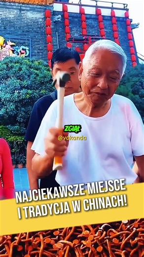 🪵 Twardość drewna potrafi zaskoczyć — niektóre gatunki są tak gęste, że łatwo wyginają gwóźdź zamiast go przyjąć. W takich próbach liczy się nie tylko siła, ale też technika i kąt uderzenia. #dc #dlaciebie