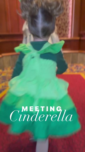 22K views · 311 reactions | Meeting Cinderella is a dream come true  | Christina Wait | Facebook