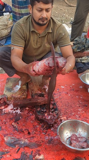 Popular Big size fish cutting viral #shorts