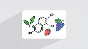 پلی فنول چیست؟ – بررسی ویژگی و کاربردها (فیلم آموزش رایگان) | فرادرس