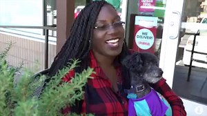 59K views · 195 reactions | We couldn’t have done this without you — our amazing readers.  #Inc5000 | The Penny Hoarder | Facebook