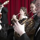 What Are the Five General Groups of Musical Instruments?