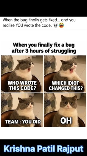 3 Hours Debugging… Just to Realize I Wrote the Bug 💀😂
