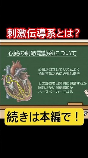【医療職必見】心臓の「刺激伝導系」って結局なに？基礎の基礎！ #shorts