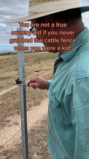 Country Kid Memories: Grabbing The Cattle Fence
