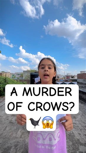Test Your Animal IQ! 🦒 Can You Guess the Group Name? #shorts #animalfacts #collectivenoun