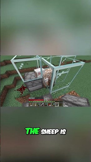 Automatic Sheep Farm: Minecraft's Easiest Design! #shorts