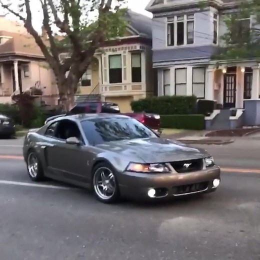 Cobra Pull (IG: @paradiselivin_svt) #ford #mustang #terminatorcobra