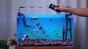 Floating Acrylic Breeder Box for Fish Tank - Aquarium Isolation Separator Hatchery Incubator for Guppy, Betta, Clownfish, Coral, Baby & Injured Fish