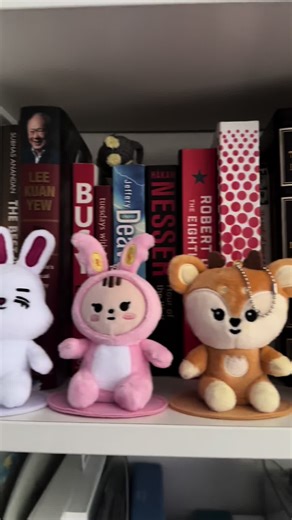 Just me bringing kimja to work hehehe can’t wait to see svt next week hehehe #miniteen #seventeen #carat