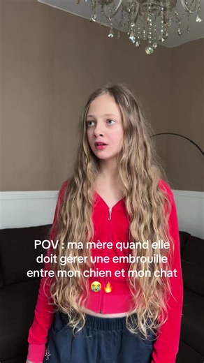POV : ma mère quand elle doit gérer une embrouille entre mon chien et mon chat 😭🔥#diva #humor #acting