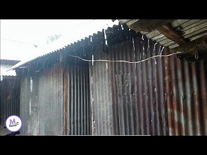 How Does Rain Form? | The Water Cycle Explained for Kids and Students