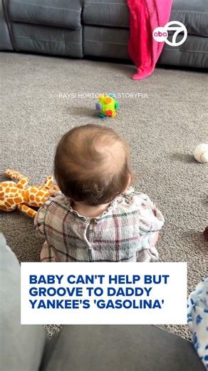 A baby couldn’t help but dance after hearing the musical workings of award-winning Puerto Rican musician Daddy Yankee, footage released on Saturday, February 7, shows. This footage captured by Raysi Horton shows Horton’s daughter sitting quietly on the ground in their northern Texas home in late January. Horton could be heard asking her Amazon Alexa device to play Daddy Yankee’s 2004 hit Gasolina. Horton’s daughter immediately perks up and starts waving her arms in the air within a few seconds o