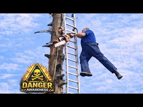 Dangerous Tree Cutting Mistakes Caught on Camera Safety Lessons for Everyday Life