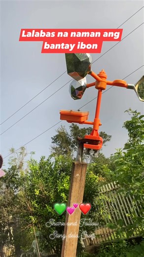 317K views · 4.4K reactions | Mabisang panaboy sa ibon solar bird repeller ❤️ #contentcreator #farmlife #fblifestyle | Sting De la Cruz | Facebook