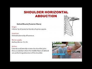 Muscle Test (1st term ) - lec 5