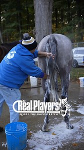 139 reactions · 11 shares | Sounds on the backstretch in the mornings bath time #Asmr #Horsemanship | The Real Players Inside The Backstretch | Facebook