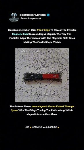 What a Magnetic Field Actually Looks Like