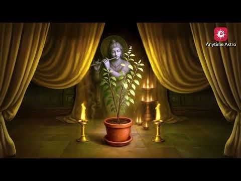 Tulsi Mata Ki Aarti | Purity, Prosperity & Devotion | Anytime Astro