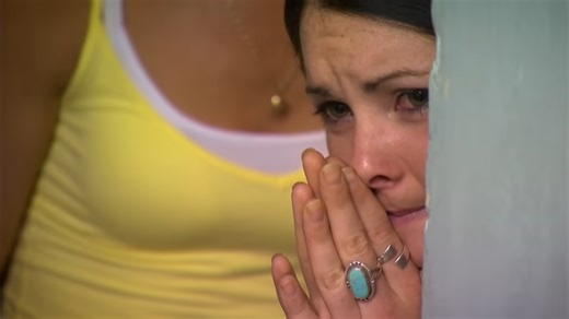 The biggest dog patients Bondi Vet has ever treated